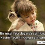 Kavuşmak İle İlgili Sözler