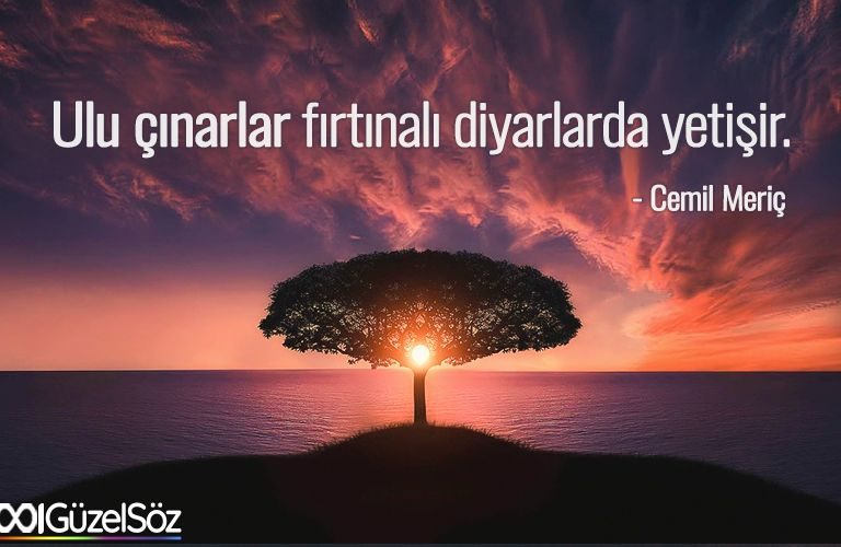 Manalı Sözler anlamli-cumleler-manali-sozler-2021-laflar-hikmetli-dusunduren.jpg