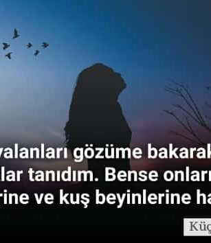 Yalancı İnsanlara Kapak Sözler Yalancı İnsanlara Kapak Sözler yalan soylemek yalan konusmak yalan sozleri yalanci insan 1