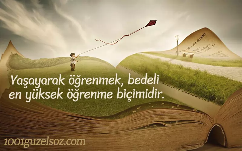 Hayat Okulu Sözleri Hayat okulu sozleri hayati ogren hayatin dersleri hayata dair sozler