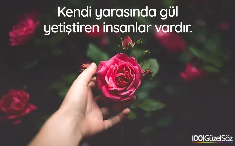en guzel resimli sozler anlamli guzel resimler indir resim 3