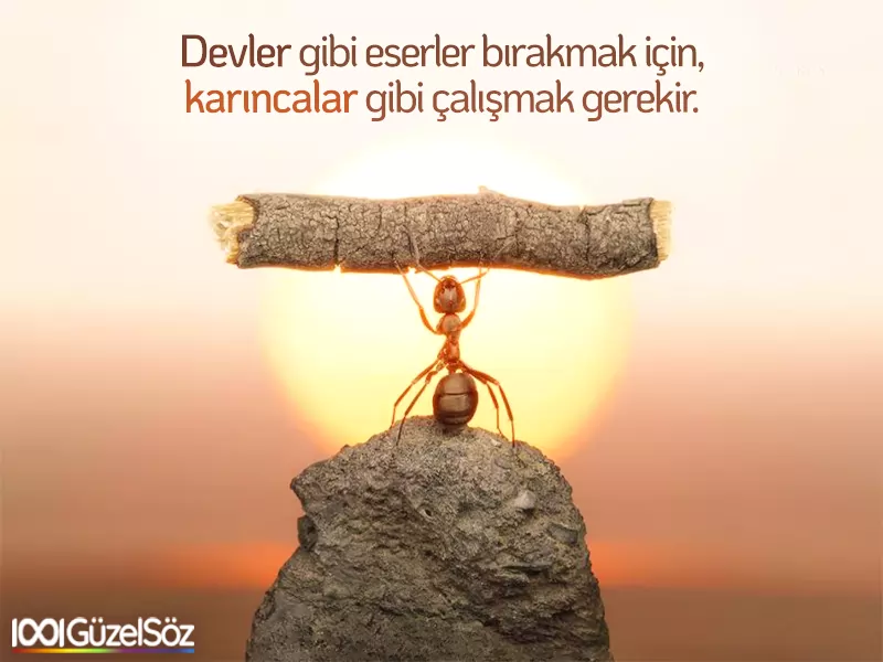 kisisel gelisim sozler gelisim icin sozler gelismek kendini gelistir calismak basari 1