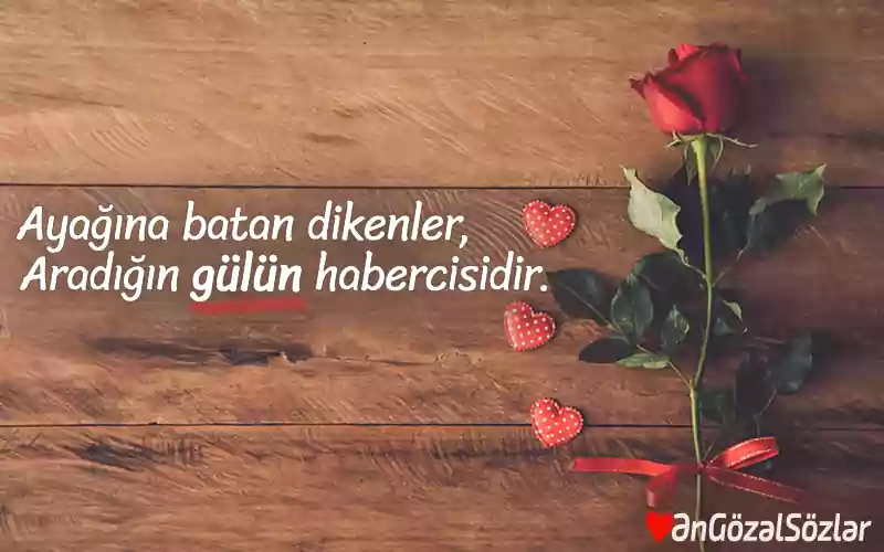 resimli en guzel sozler anlamli guzel resimler indir resim 10
