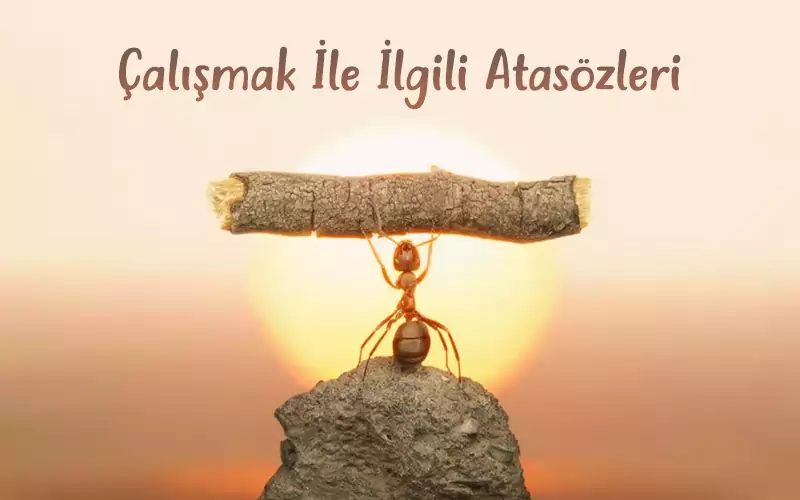 Azerbaycan Atasözleri