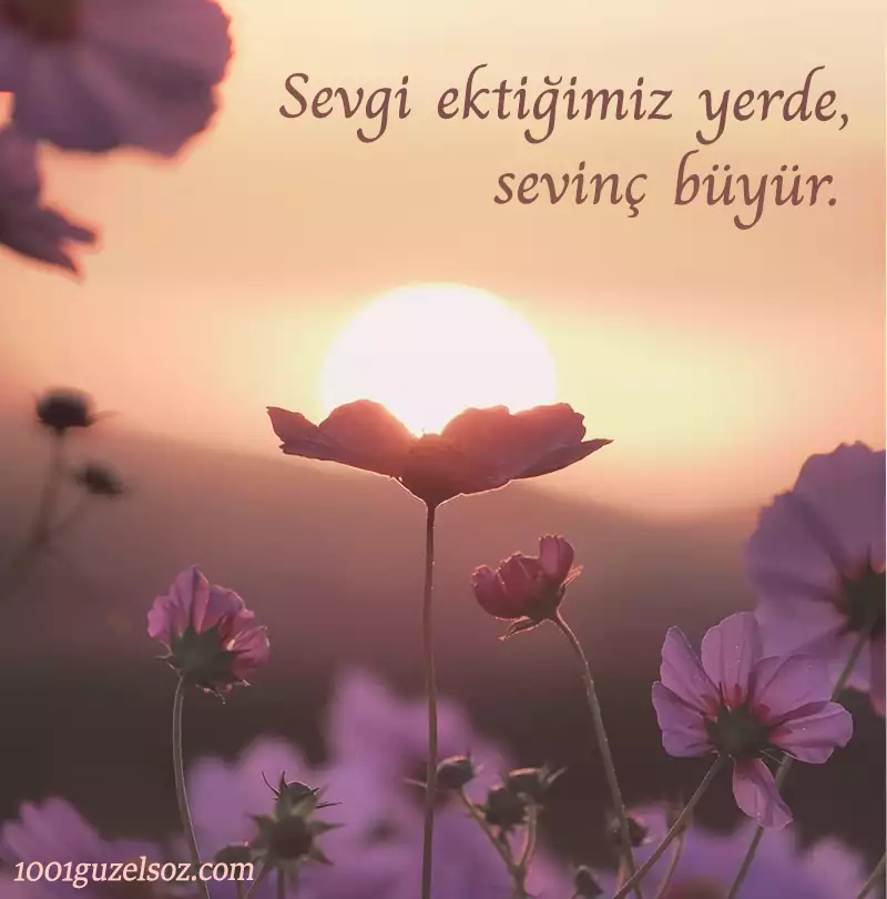 Anlamlı Güzel Sözler guzel sozler 2021 anlamli guzel sozler guzel cumleler en guzel