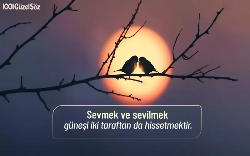 Manalı Sözler manali kisa sozler 2022 anlamli kisa sozler sevmek ile ilgili