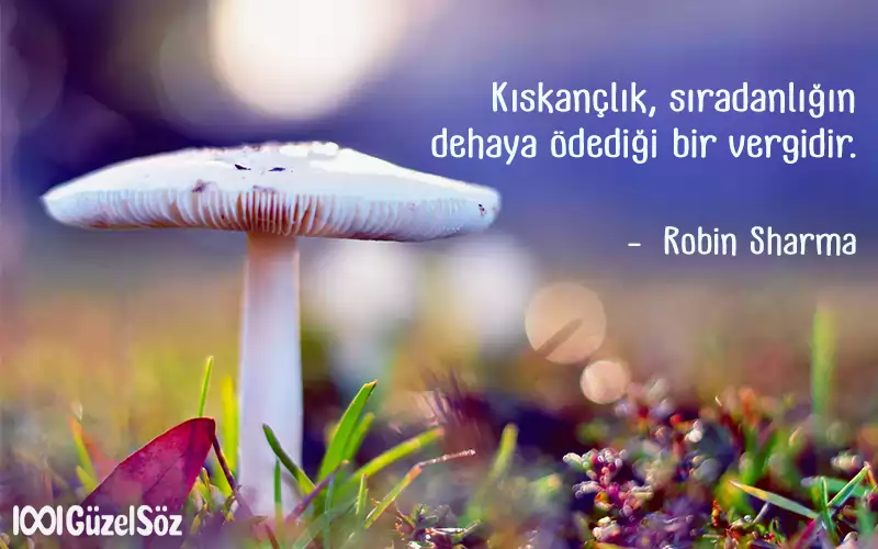 Yeni Sözler, Yeni Mesajlar anlamli yeni sozler 2022 guzel yeni sozler yeni laflar kisa