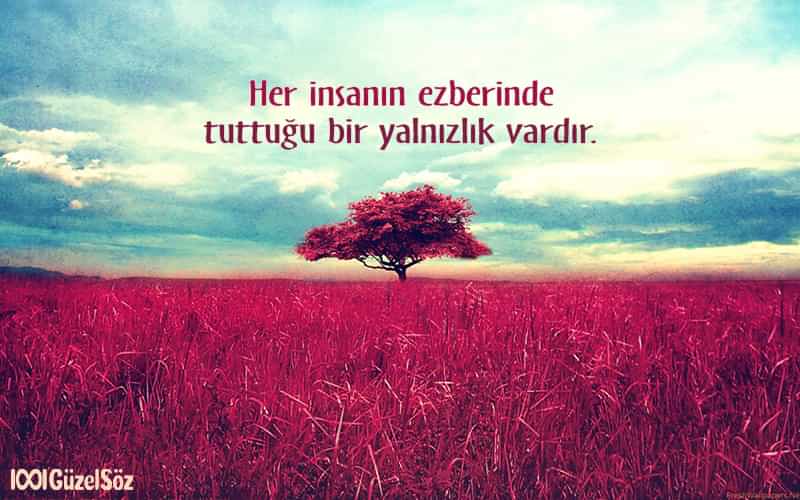 İnstagram Biyografi Sözleri instagram biyografi sozleri kisa instagram sozleri havali insta bio sozleri