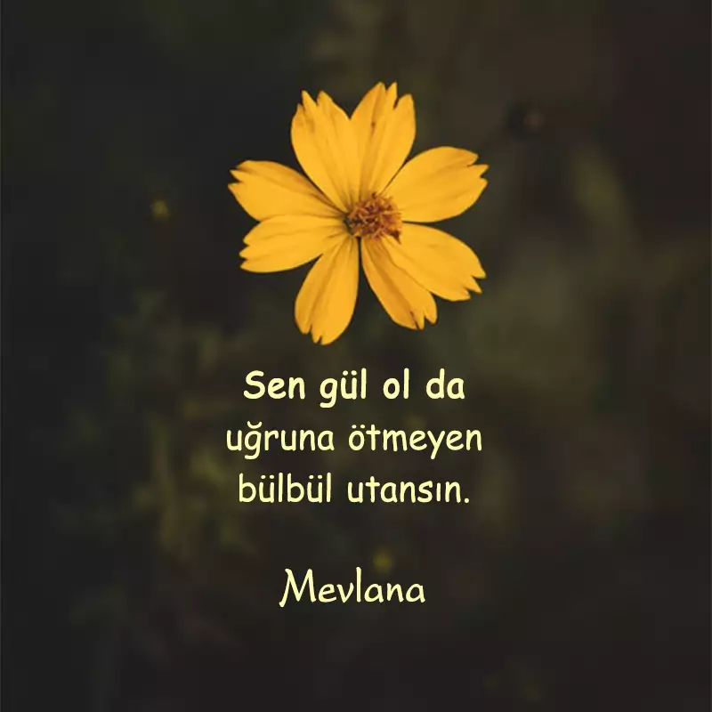 Anlam Dolu Sözler Ve Mesajlar populer sozler 2022 populer mesajlar en sevilen sozler meshur sozler