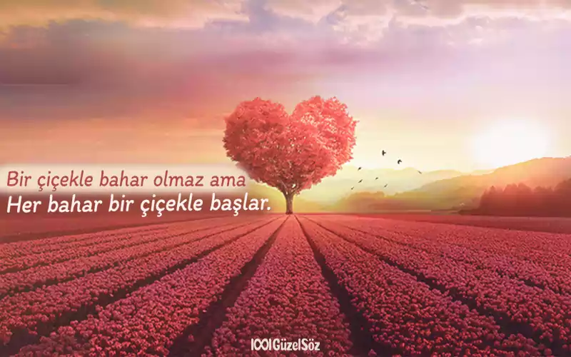 bahar ile ilgili sozler bahar sozleri ilkbahar ile ilgili yaz