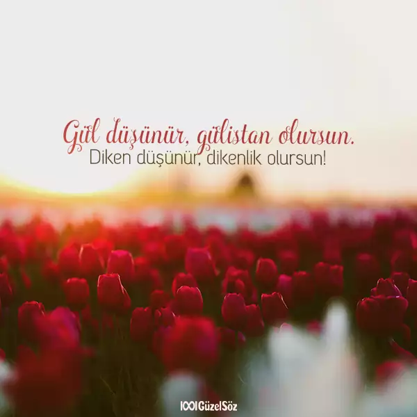 resimli guzel sozler sozlu resimler anlamli sozler resimli gul diken 2