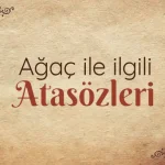 Kız Profil Resimleri İndir