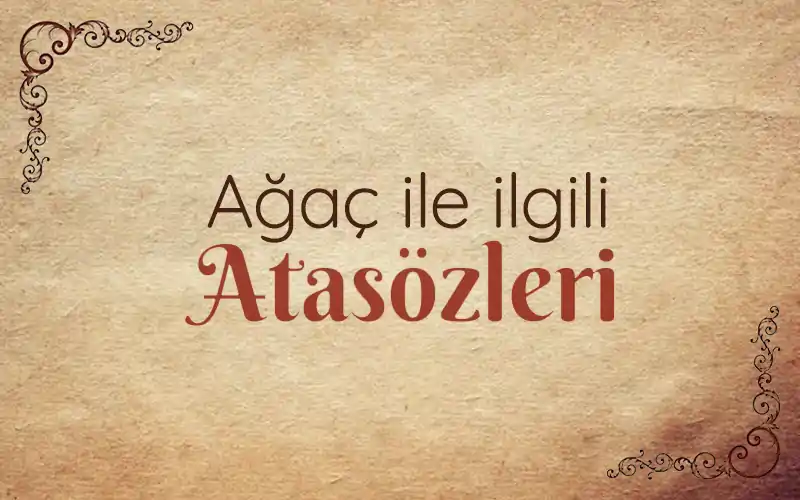 agac ile ilgili atasozleri agaclar ile ilgili atasozu