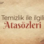 Ağaç ile ilgili atasözleri