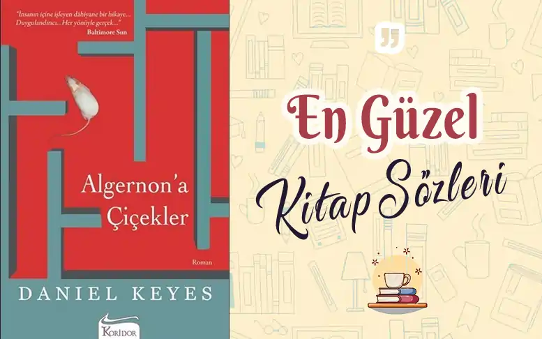 Algernon'a Çiçekler alıntı ve sözleri algernon'a çiçekler konusu algernon'a çiçekler pdf algernon'a çiçekler özet,algernon'a çiçekler alıntı,daniel keyes algernon'a çiçekler algernon'a çiçekler kaç sayfa