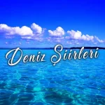 Kurtlarla Koşan Kadınlar alıntı