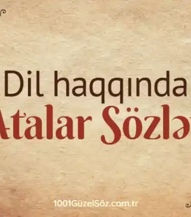 Dil haqqinda atalar sozleri,Ana dili atalar sozu
