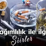 Deprem ile ilgili sloganlar, anlamlı sözler