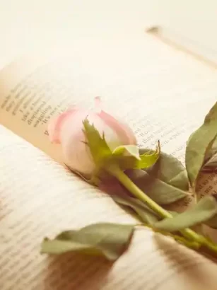 Dəyərli sözlər deyerli sozler deyerli kelamlar menali sozler statuslar