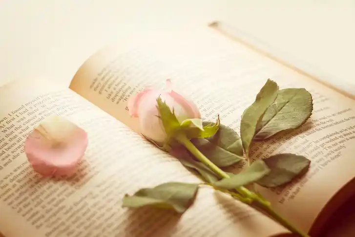 Dəyərli sözlər deyerli sozler deyerli kelamlar menali sozler statuslar