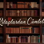 Sevgi şeirləri, Sevgiye aid seirler