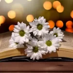 Statusluq sozler, status sozleri