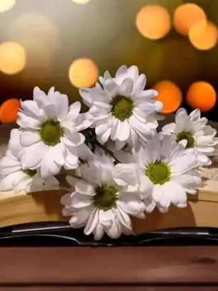 Derin Menali Sozler Derin Menali Sozler, Dərin mənalı statuslar