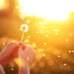 Azərbaycana aid şeirlər