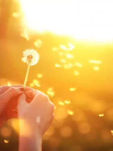 Mənalı sözlər və statuslar 2025, Status ucun menali